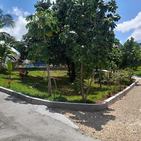 فندق Africa Dream Bungalow Kiwengwa كيوينجوا المظهر الخارجي الصورة