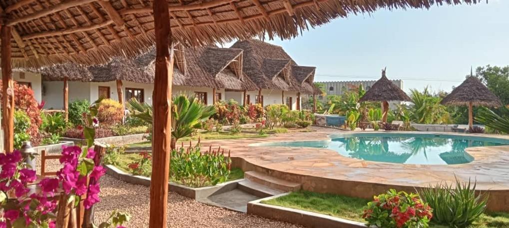 فندق Africa Dream Bungalow Kiwengwa كيوينجوا المظهر الخارجي الصورة
