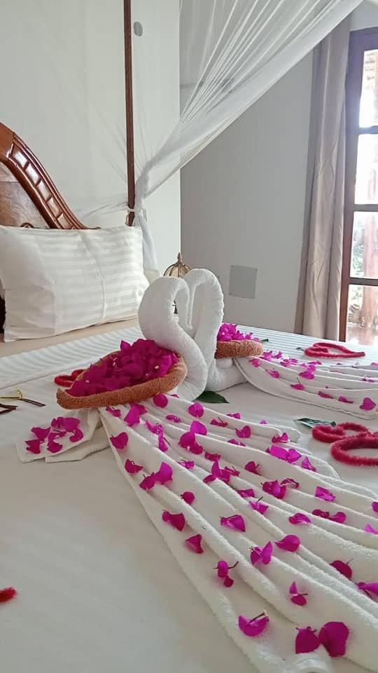 فندق Africa Dream Bungalow Kiwengwa كيوينجوا المظهر الخارجي الصورة